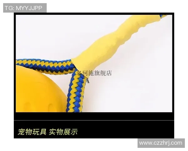 西安飞盘队强势登顶最新飞盘状态TOP10榜单引发热议